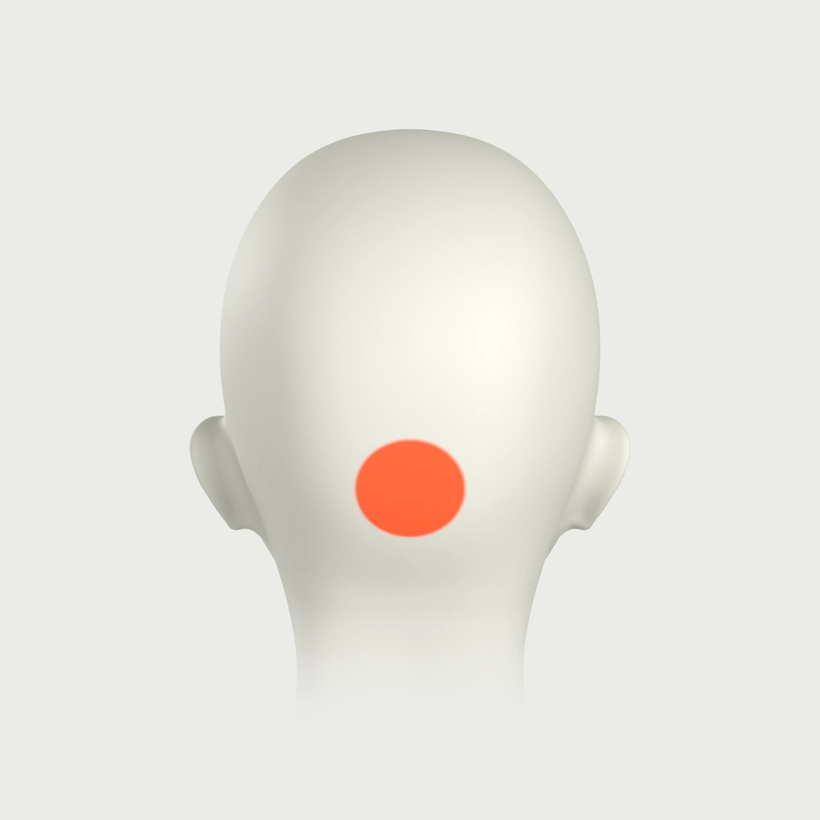 A head from behind, with an orange area over Oz.